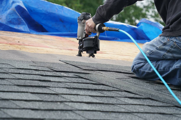 Best Storm Damage Roof Repair  in Minster, OH